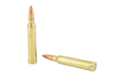 300 Win Mag Remington Core Lokt 150gr PSP (R300W1)