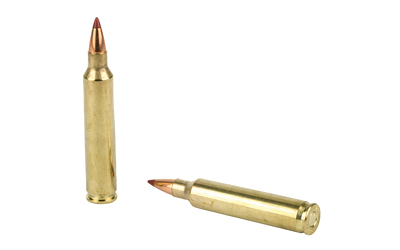204 Ruger Hornady 24gr NTX (83209)
