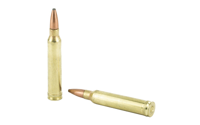 300 Win Mag Remington Core Lokt 180gr PSP (R300W2)