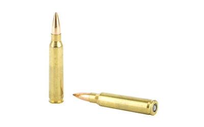 223 Federal Gold Medal 69gr Sierra Matchking BTHP (GM223M)