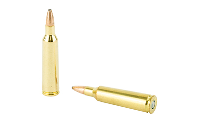 22-250 Federal Power Shok 55gr SP (22250A)