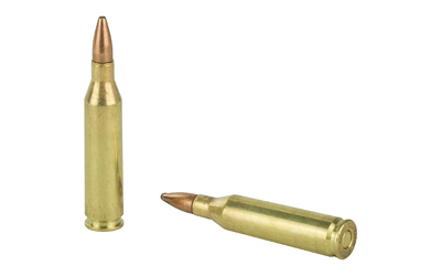 243 Win Remington 80gr PSP (27800)