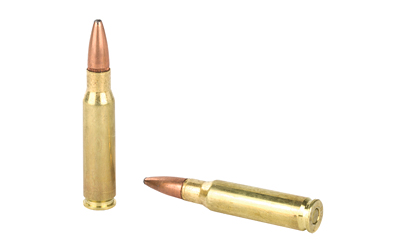 308 Win Remington Core Lokt 180gr PSP (R308W3)