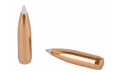 Nosler AccuBond 30 Caliber 180 Grain Spitzer Boat Tail (54825)