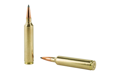 26 Nosler Nosler Trophy Grade 129gr ABLR (60110)