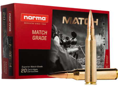 338 Norma Norma Golden Taget 300gr BTHP (20185272)