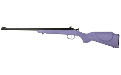 Keystone Sporting Arms Crickett 22LR Purple Syn (KSA2306)