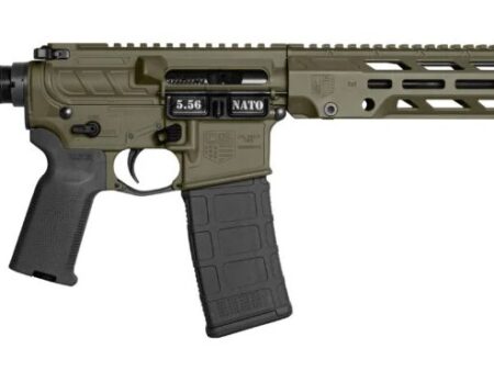 Diamondback Obsidian DB15 5.56 Nato 11.5in BBL (DB1984K101)