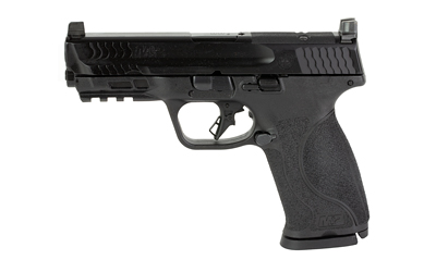 S&W M&P9 2.0 Optic Ready 9mm 4.25in 17+1 (13564)