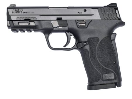 Smith and Wesson M&P380 Shield EZ PC 380 ACP Silver PC (12718)