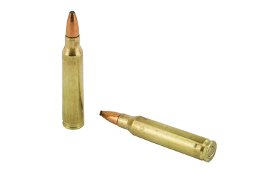 223 Remington Core Lokt 55gr PSP (R223R1)