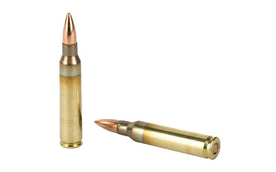 5.56 PMC X-TAC 55gr FMJ BT (XP193)
