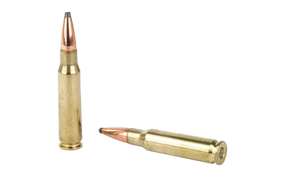 308 Win Hornady American Whitetail 165gr Interlock SP (80904)