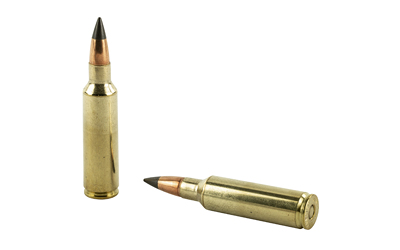 300 WSM Winchester 150gr XP (X300SDS)