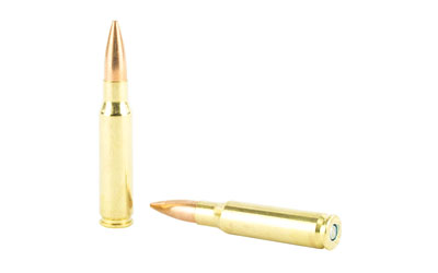 308 Win Federal Gold Medal 175gr Sierra Matchking BTHP (GM308M2)