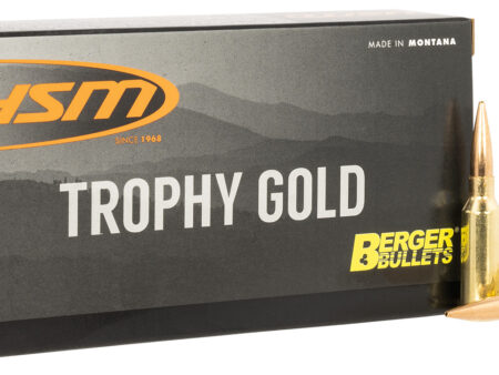 6mm ARC HSM Trophy Gold 95gr VLD (6ARC95VLD)
